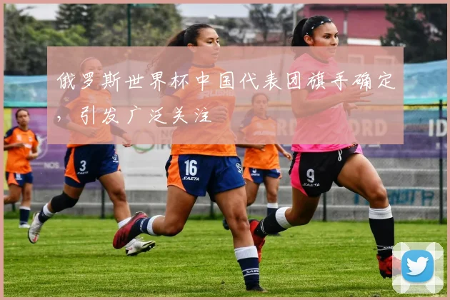 俄罗斯世界杯中国代表团旗手确定，引发广泛关注