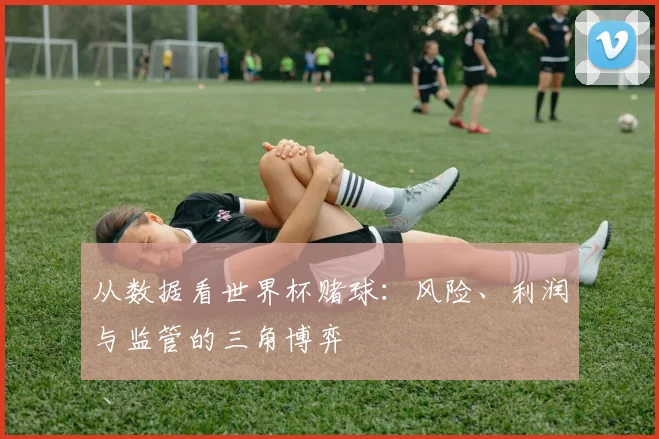 从数据看世界杯赌球：风险、利润与监管的三角博弈