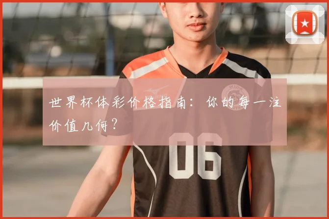 世界杯体彩价格指南：你的每一注价值几何？