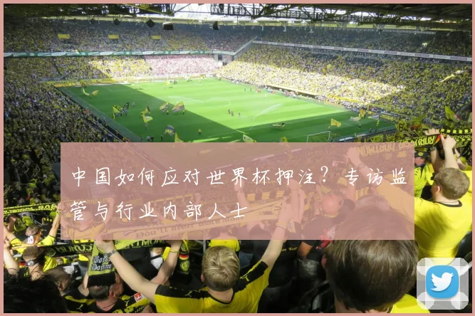 中国如何应对世界杯押注?专访监管与行业内部人士